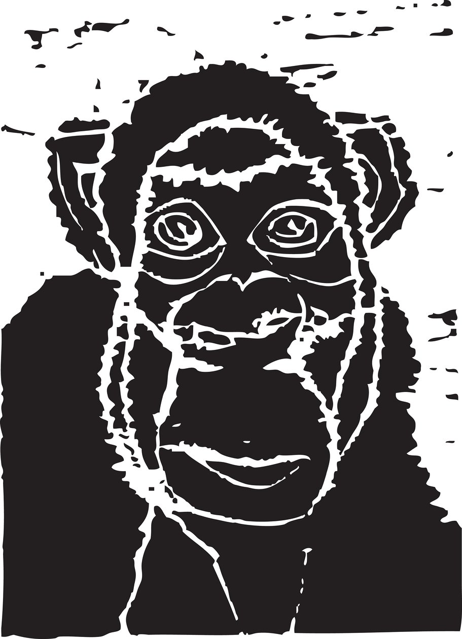 Chimpanzé - Gerhardt Isringhaus