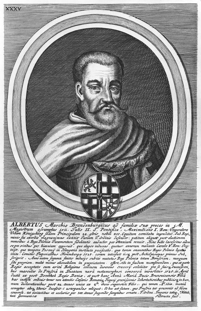 Albert de Brandebourg (xylographie) - German School