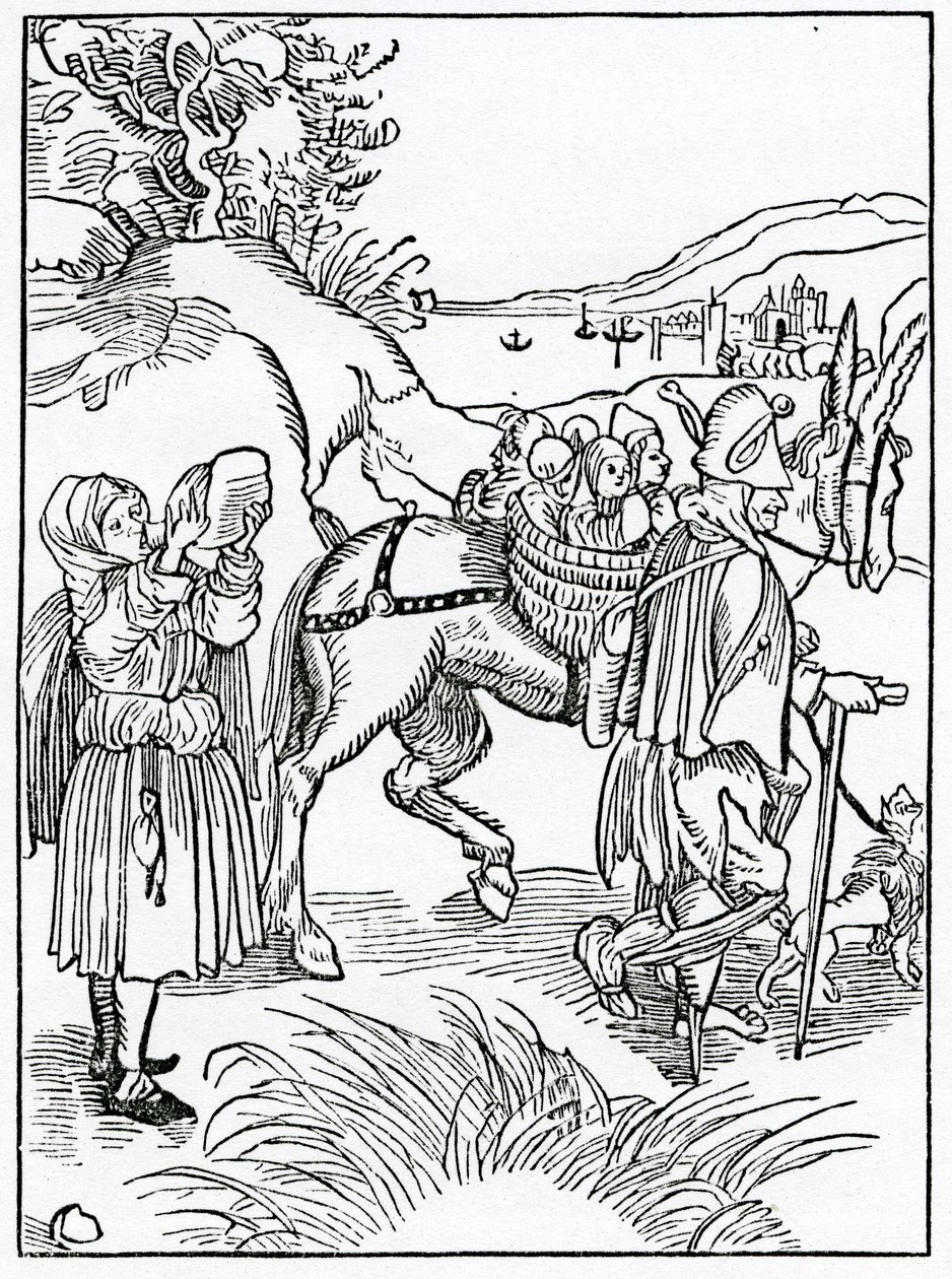 Des fous et de leurs vanités, illustration de la traduction anglaise d