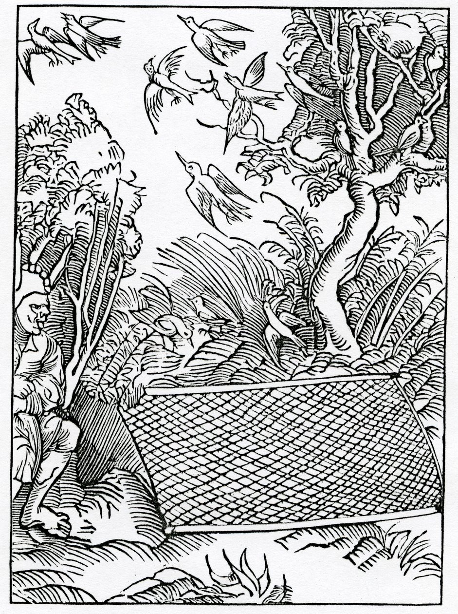 De nos ouvertures de conseils, illustration de la traduction anglaise d