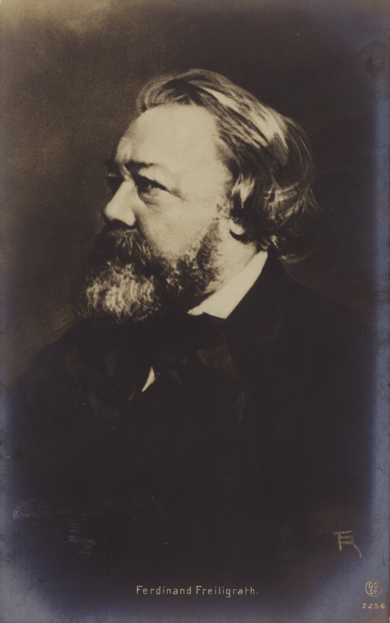 Ferdinand Freiligrath (1810-1876), poète allemand (photo n/b) - German Photographer