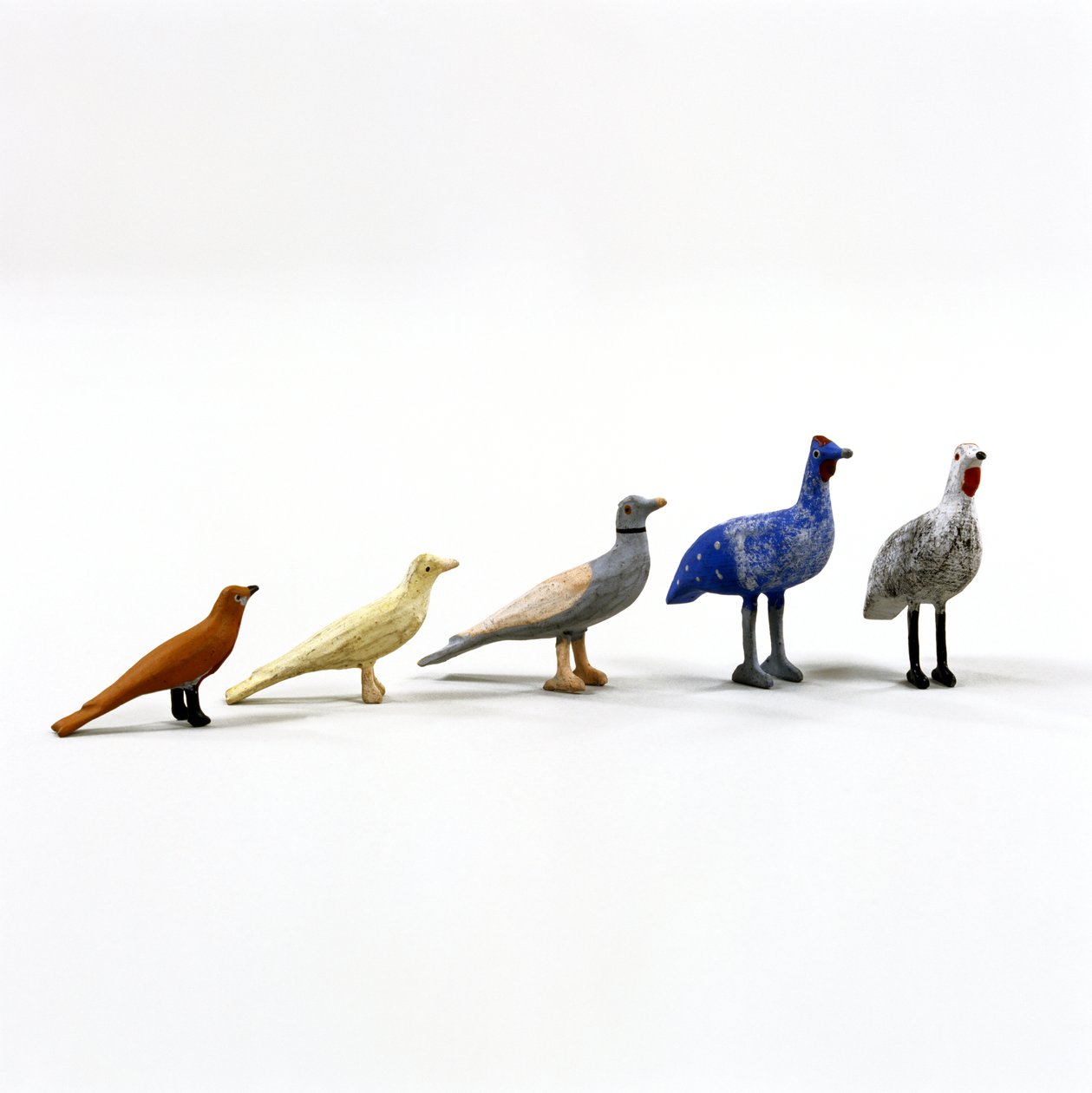 5 oiseaux d