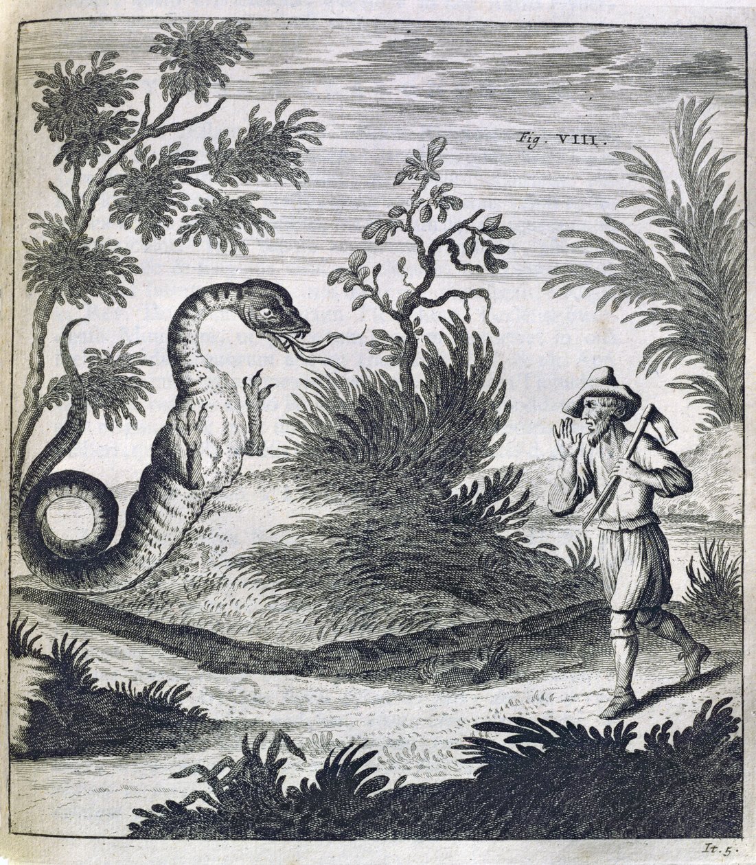 Un dragon effrayant, vers 1660 - German School