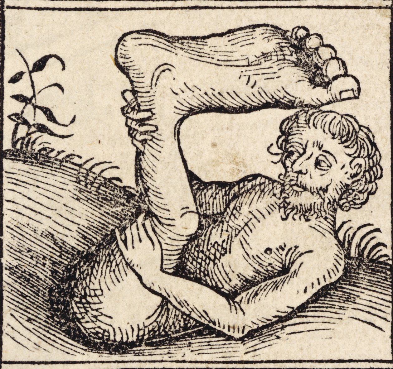 Un sciopode, Homme avec un pied enflé, de 