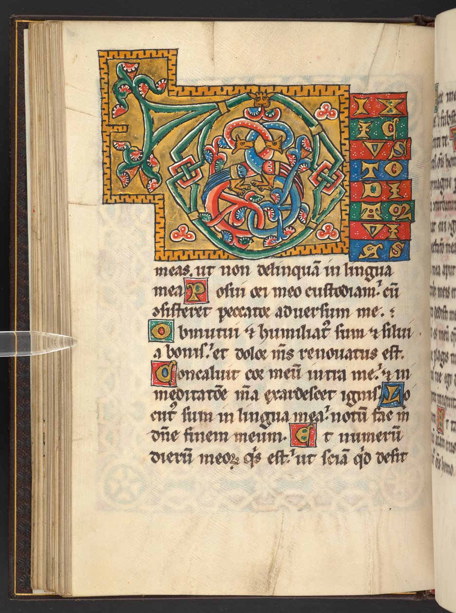 Grandes initiales encadrées en or et en couleurs avec des ornements feuillus et parfois zoomorphes et anthropomorphes (vélin) - German School