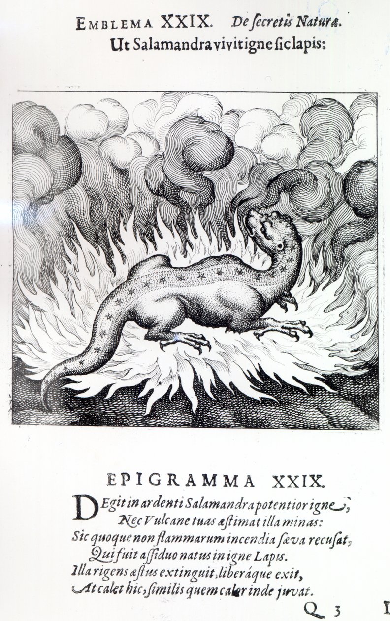 Comme la salamandre vit dans le feu, ainsi aussi la pierre, Emblème XXIX de Atalanta fugiens par Michael Maier, 1617 - German School
