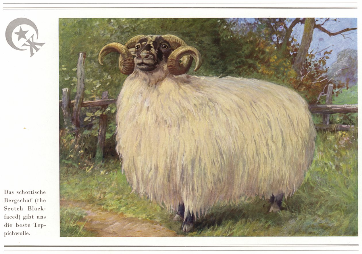 Activité des fabricants de tapis Halbmond-Teppichfabrik Von Koch Und Te Kock (lithographie couleur) - German School