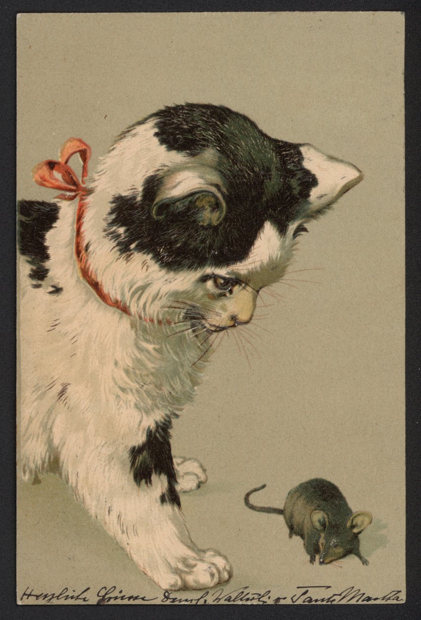 Chat jouant avec une souris (lithographie couleur) - German School