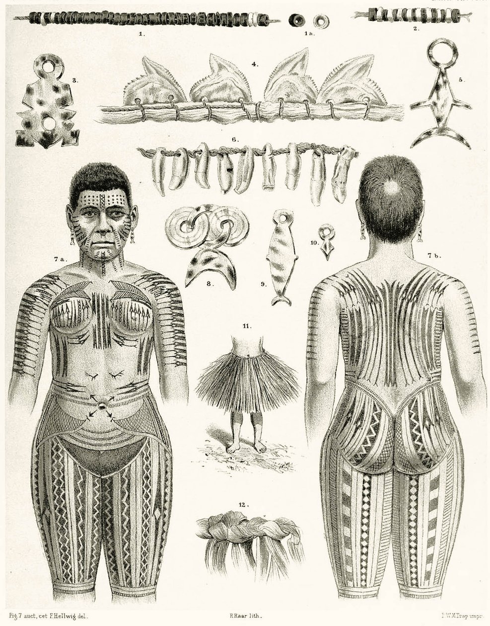 Diagramme montrant des bijoux, ornements et motifs de tatouage polynésiens, 1888 - German School