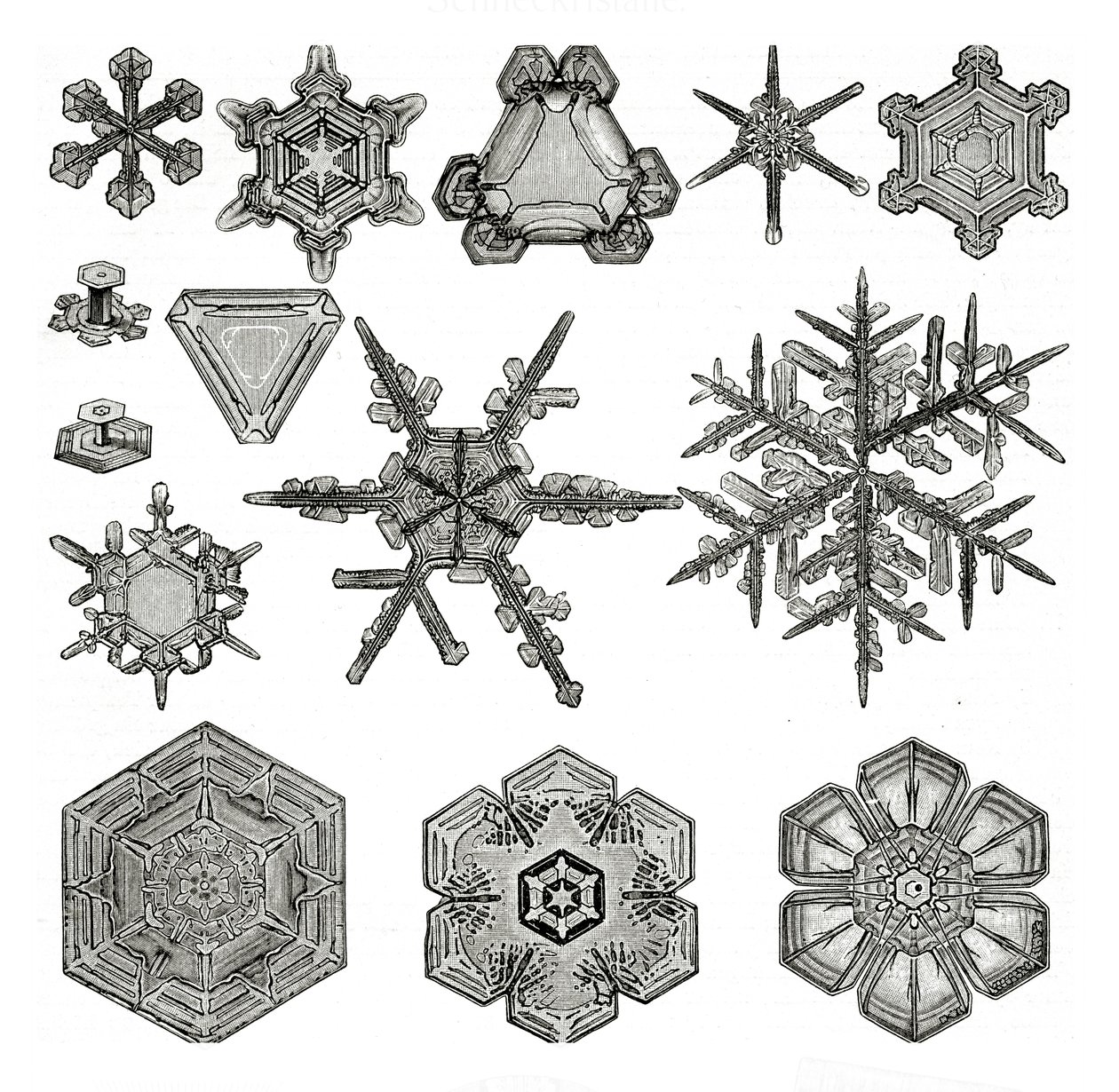 Différentes formes de flocons de neige - German School