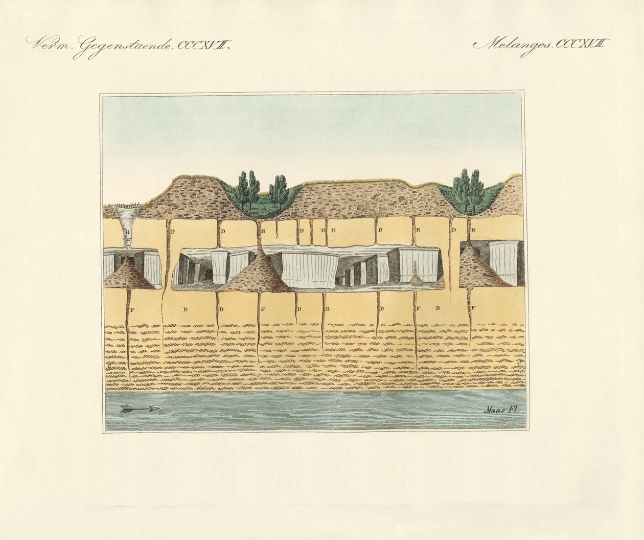 Tuyaux de terre - German School