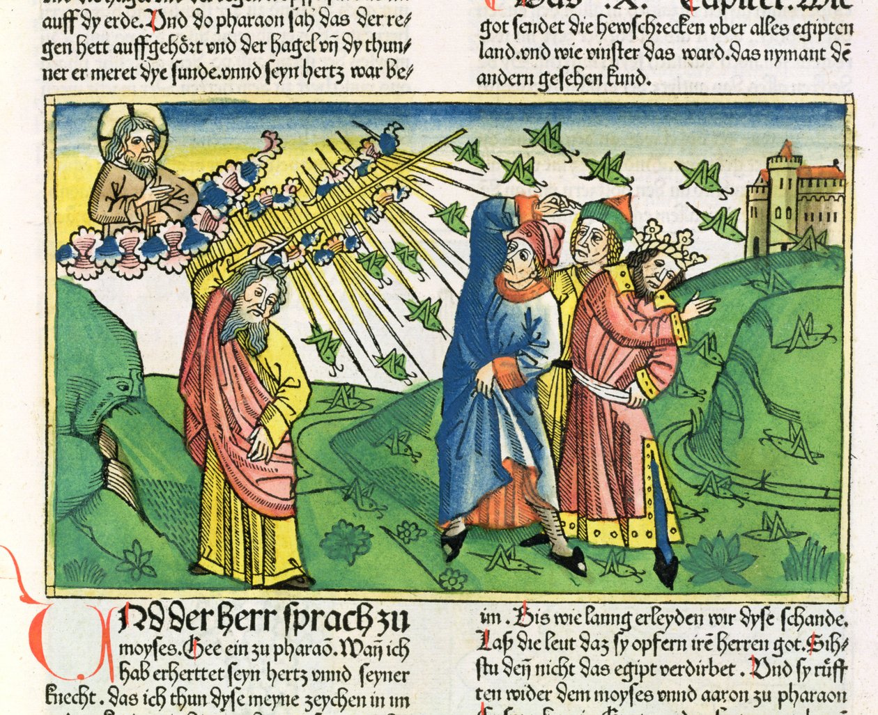 Exode 10:1-20 Les Sept Plaies d