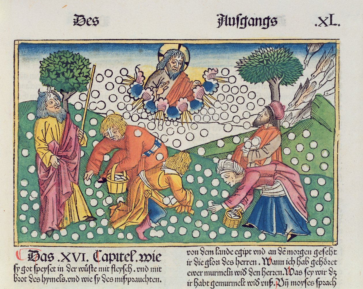 Exode 16:13-22 Dieu fournit des cailles et de la manne aux Israélites, de la Bible de Nuremberg (Biblia Sacra Germanaica) - German School