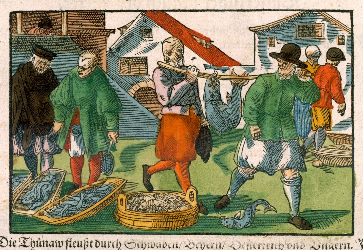 Marché aux poissons, d