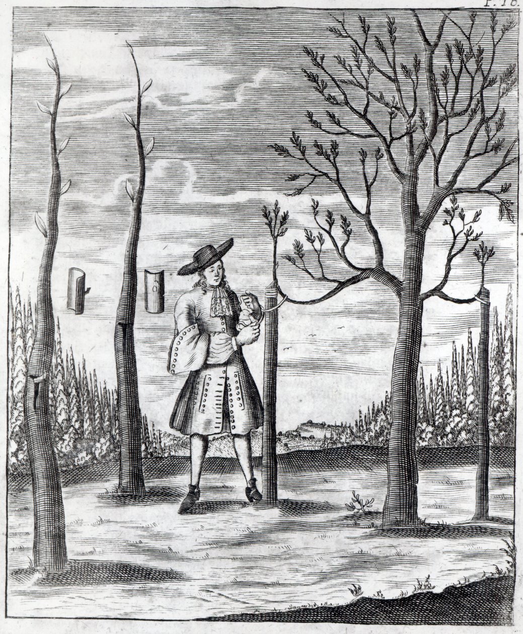 Jardinage et maladies des plantes, une illustration de 