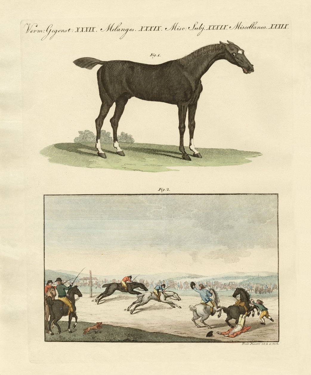 Courses de chevaux en Angleterre - German School