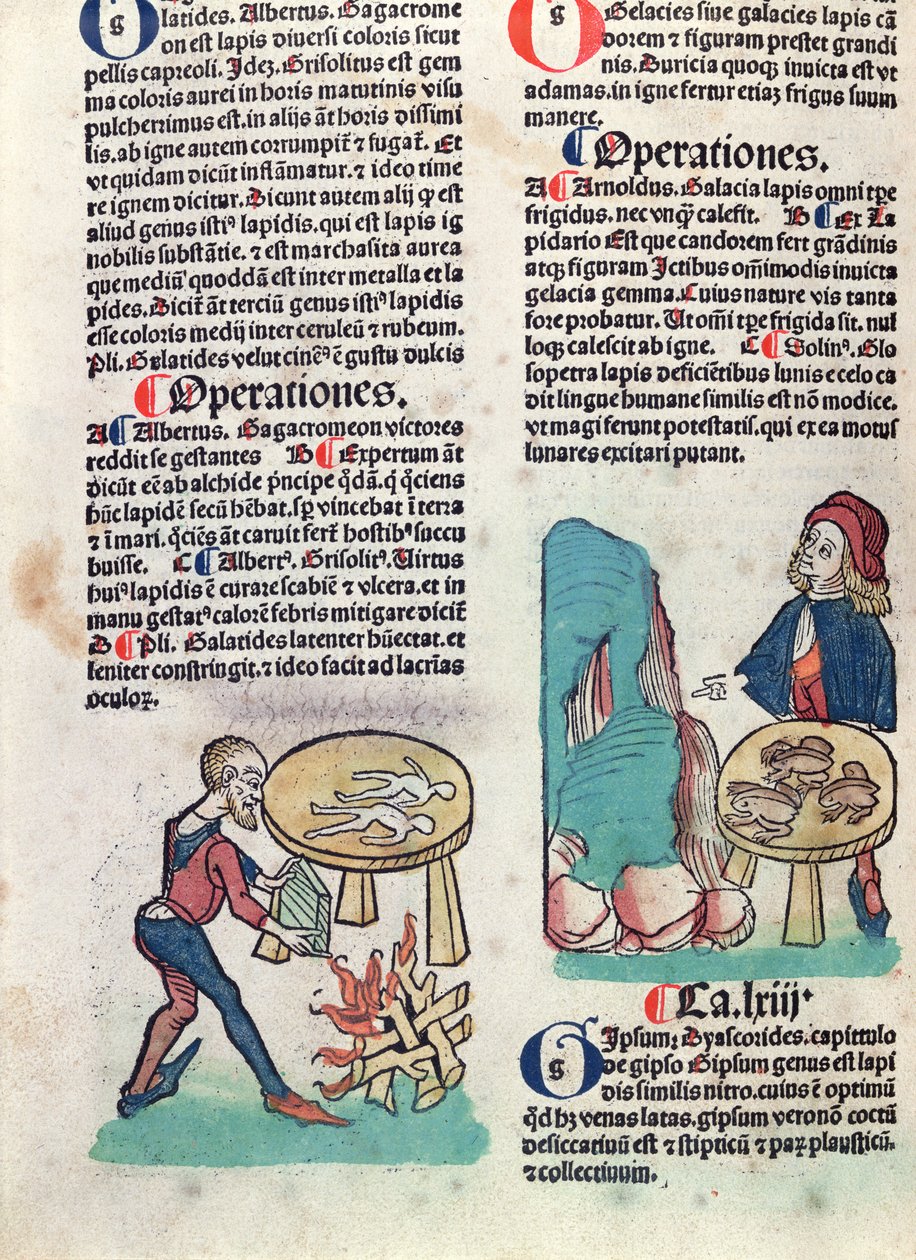 Page illustrée de Hortus Sanitatis, 1491 (gravure sur bois en couleur) - German School