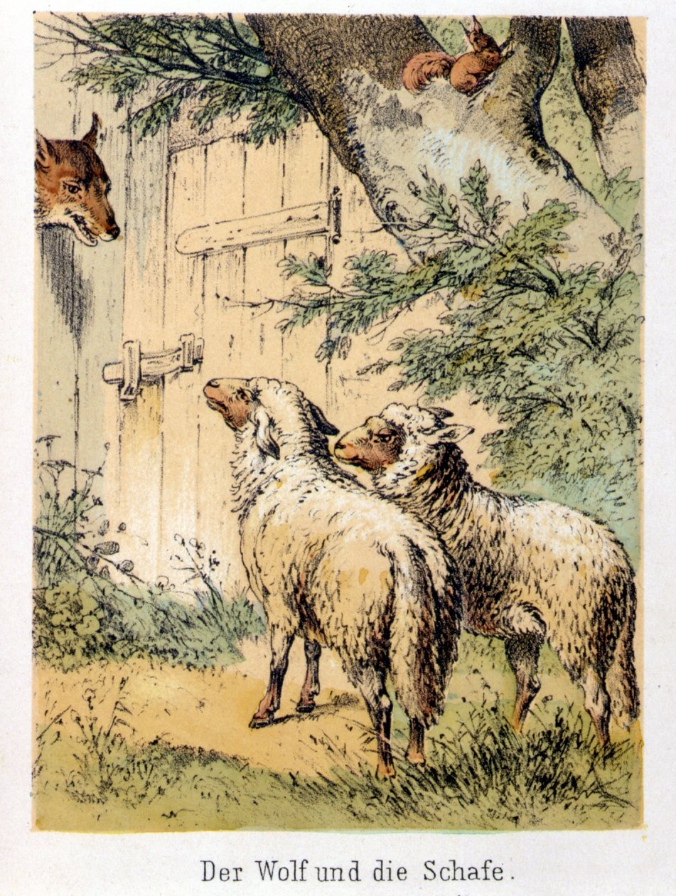 Illustration des contes de Franz Hoffmann « Contes et Fables - Le loup et les moutons » : un loup parlant avec les deux moutons. Chromolithographie du XIXe siècle. - German School
