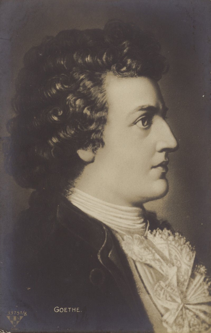 Johann Wolfgang von Goethe (1749-1832), poète, romancier et dramaturge allemand (lithographie) - German School
