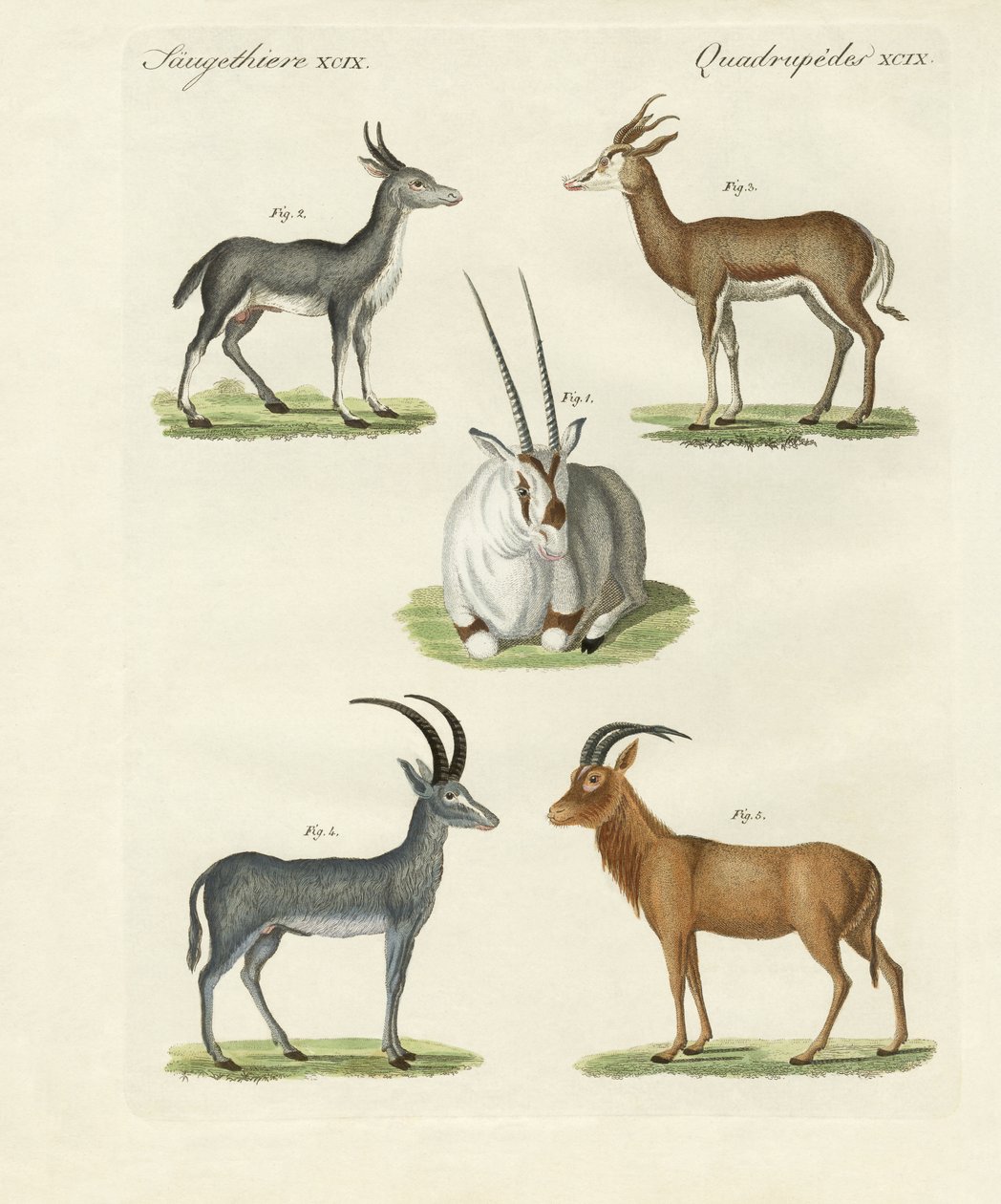 Types d