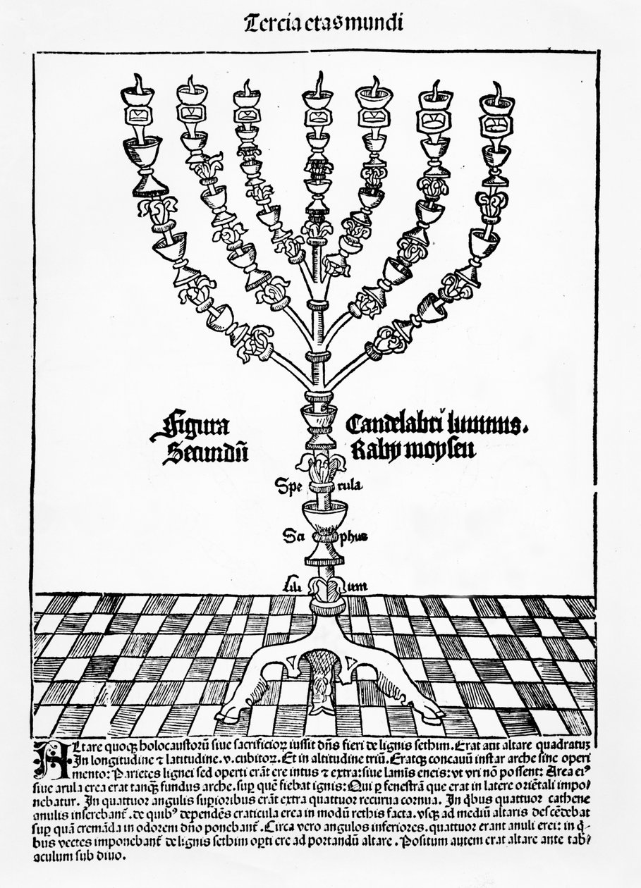 Menorah, du Liber Chronicarum par Hartmann Schedel, publié à Nuremberg, 1493 - German School