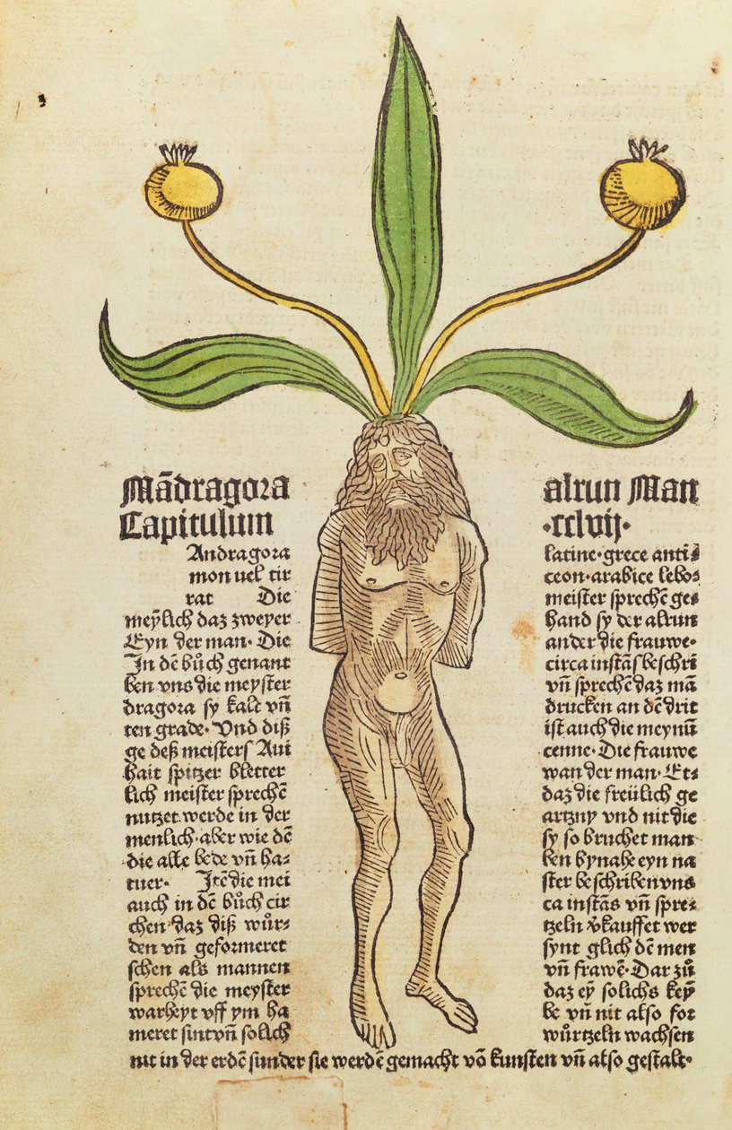 Page d