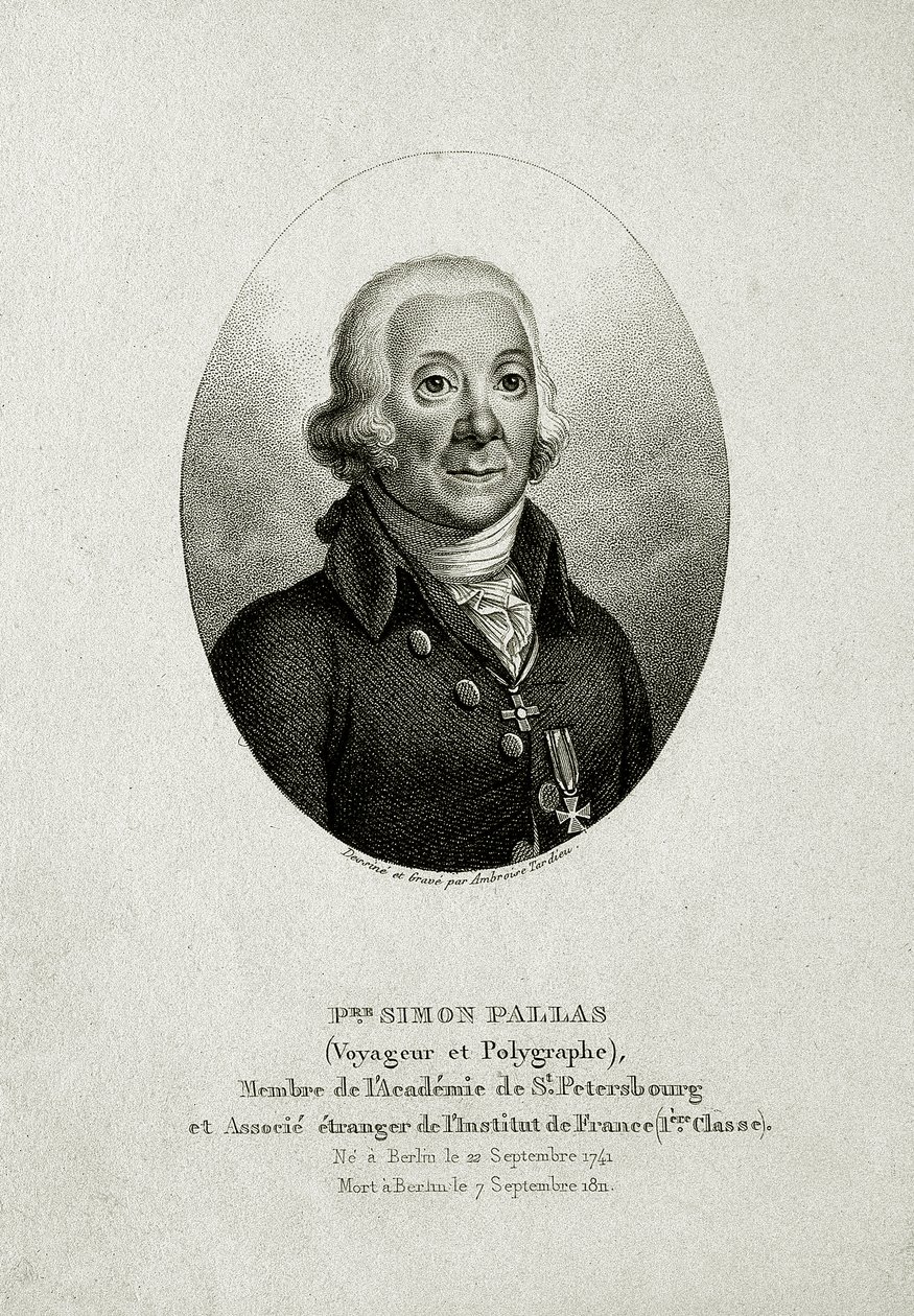 Peter Simon Pallas. (1741 – 1811) - German School