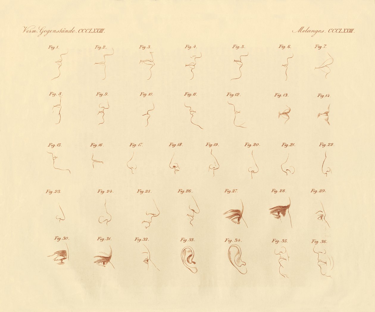 Expression physionomique de l