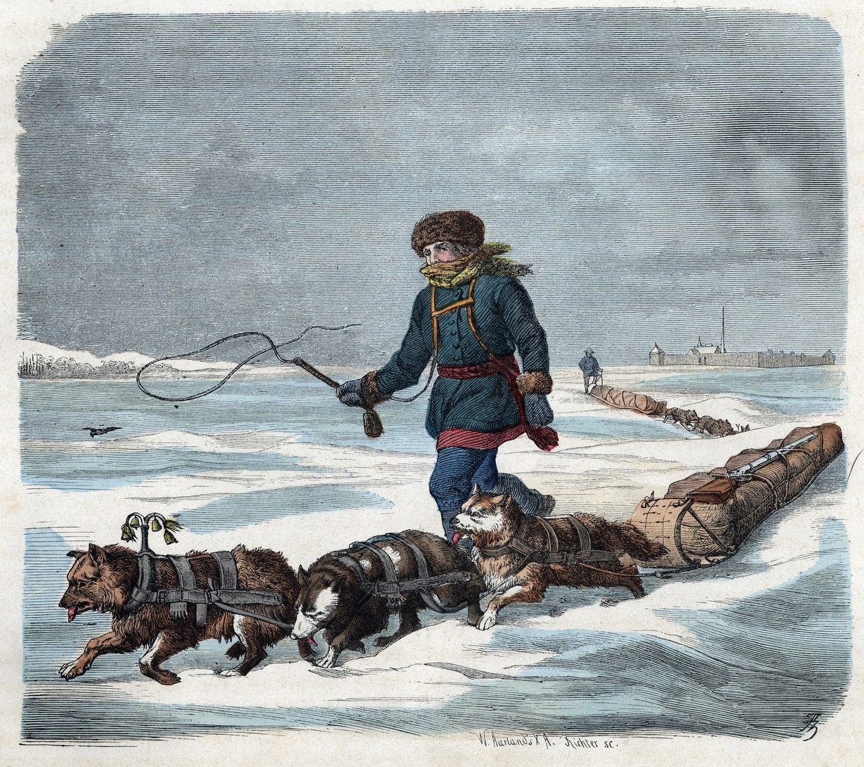 Chien de traîneau dans la neige d