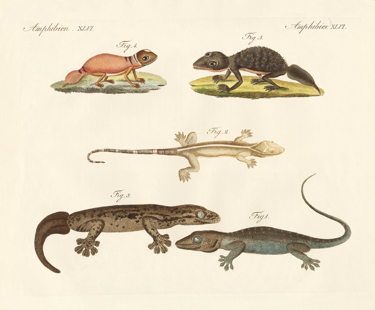 Dinosaures étranges - German School