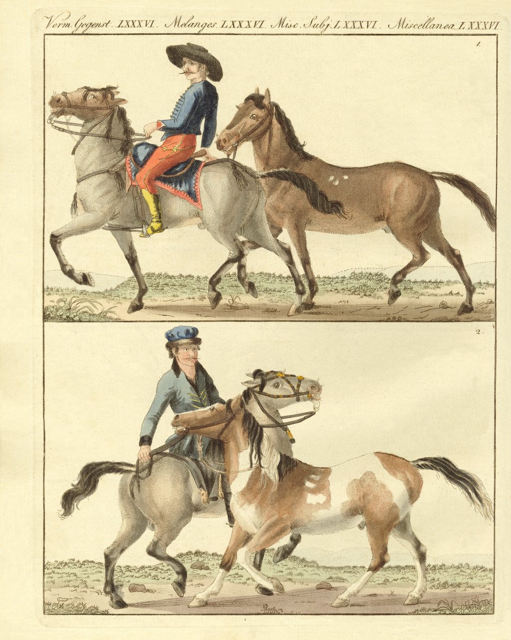 Le cheval avec ses différentes sortes - German School