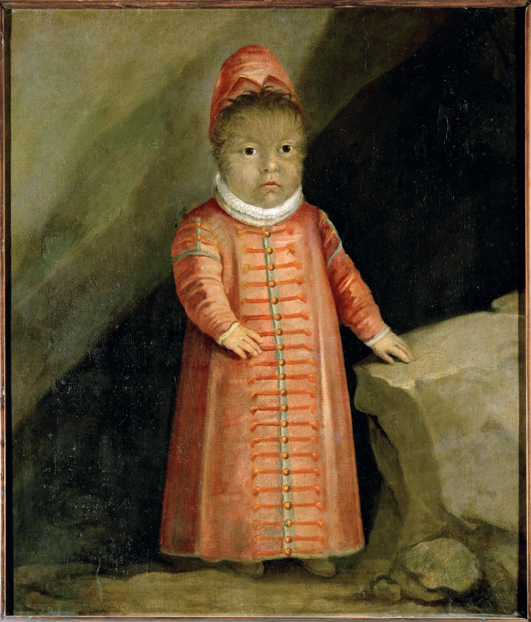 Le fils de Petrus Gonzalvus a été examiné en 1596 ... - German School