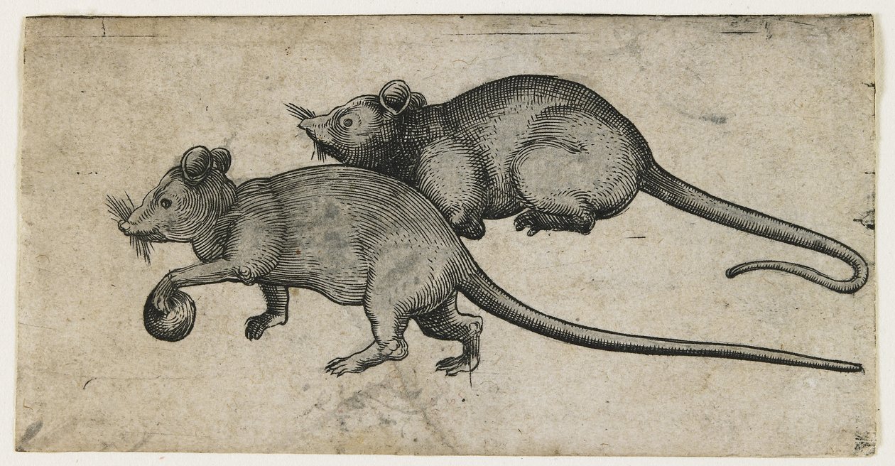 Deux souris, 1450-80 - German School