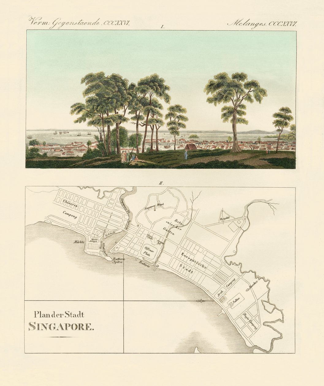 Vue et carte de l
