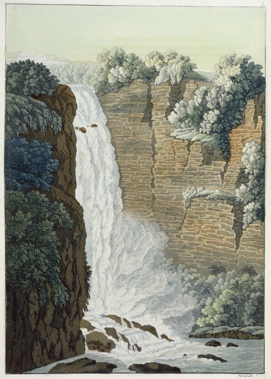Chute d