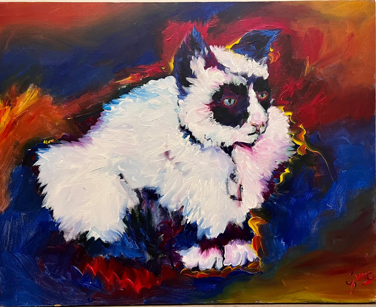Bungee le chat - Gerrit Greve