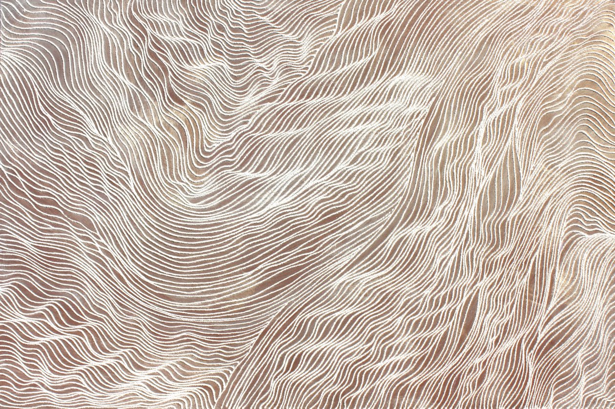 Voyage 298, 2010 (sable et acrylique sur toile) - Gerrit Greve