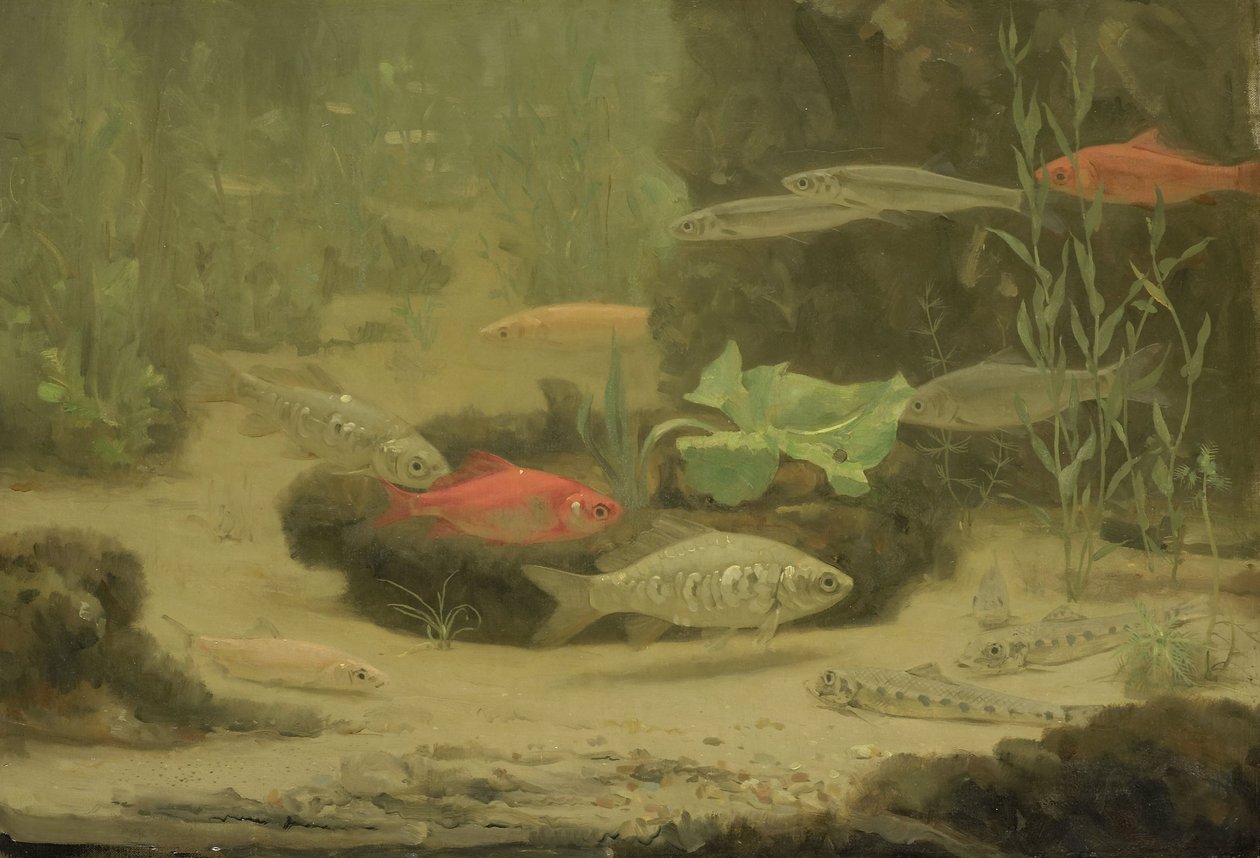  - Gerrit Willem Dijsselhof