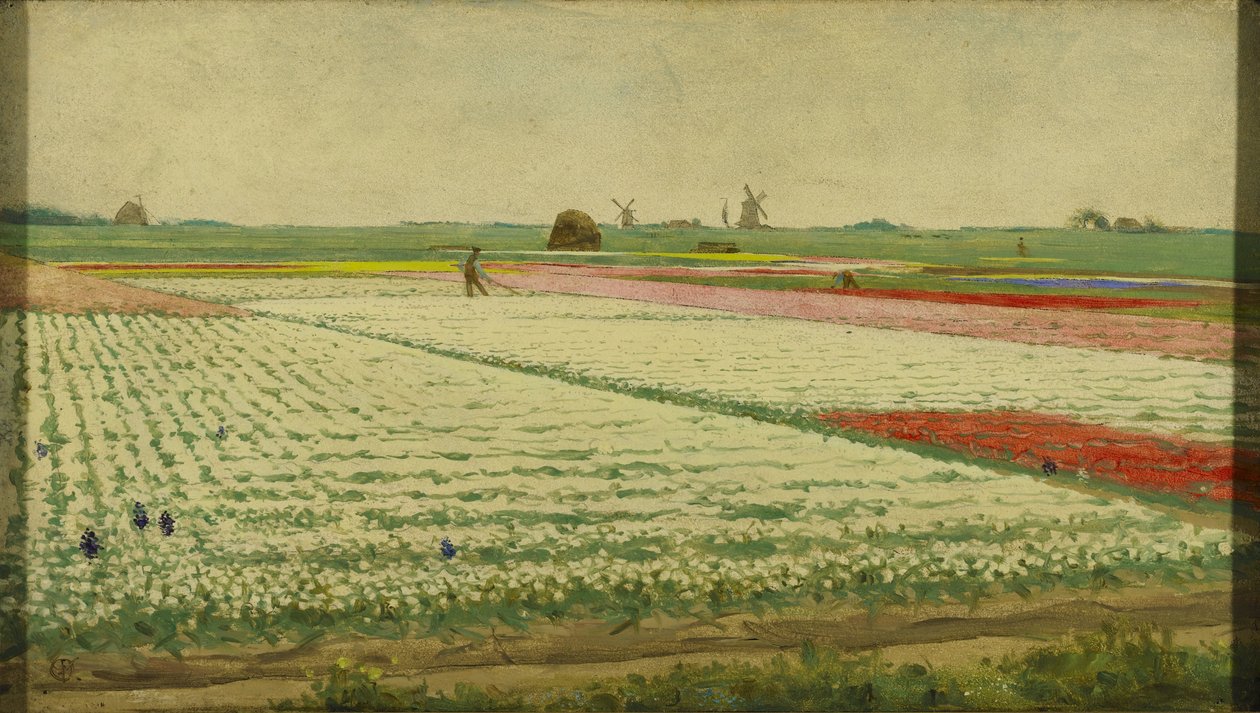 Champs de tulipes - Gerrit Willem Dijsselhof