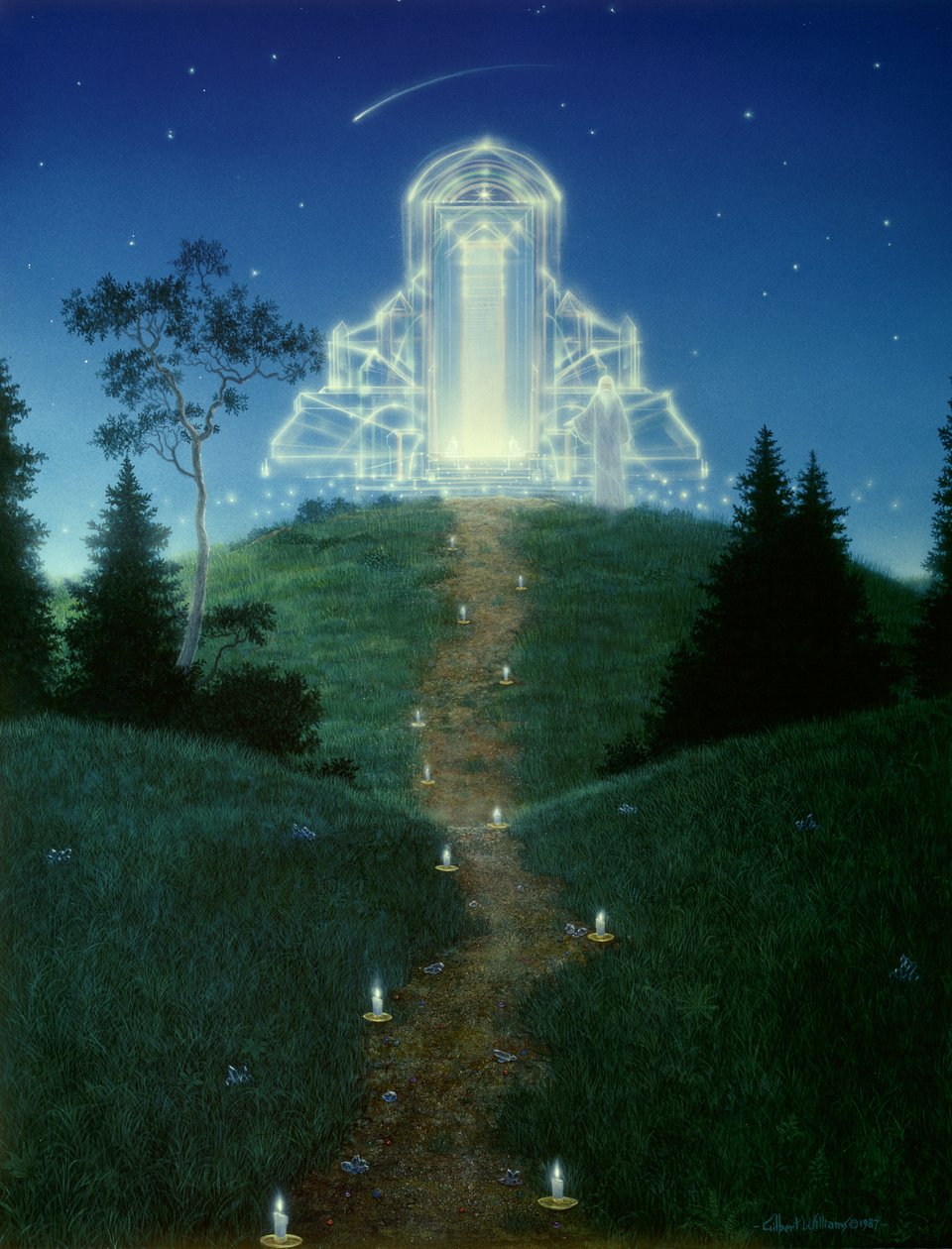 Voyage sacré - Gilbert Williams