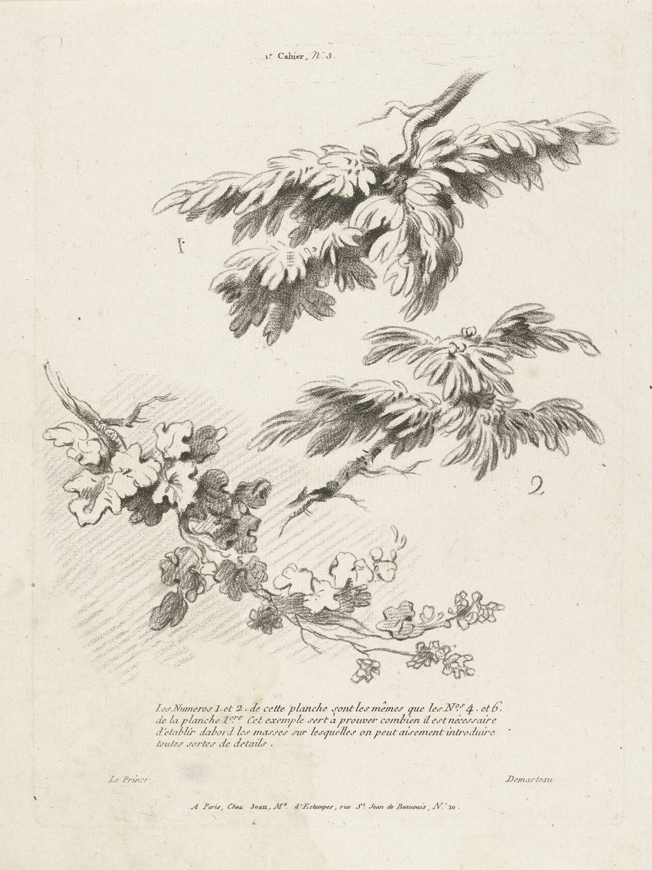 Étude de trois branches avec des feuilles (1er Cahier de paysage) - Gilles Demarteau