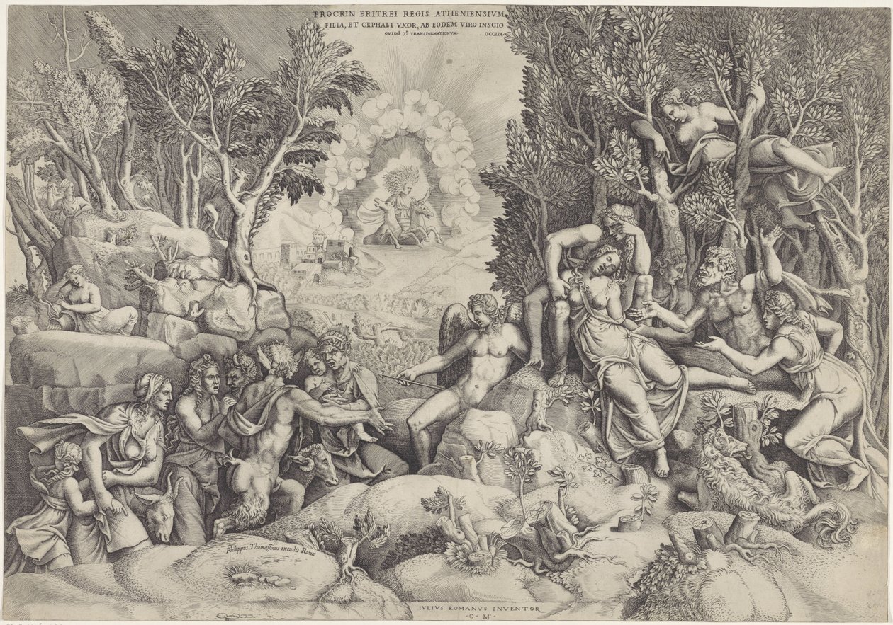 Céphale et les dieux des bois pleurent la mort de Procris - Giorgio Ghisi