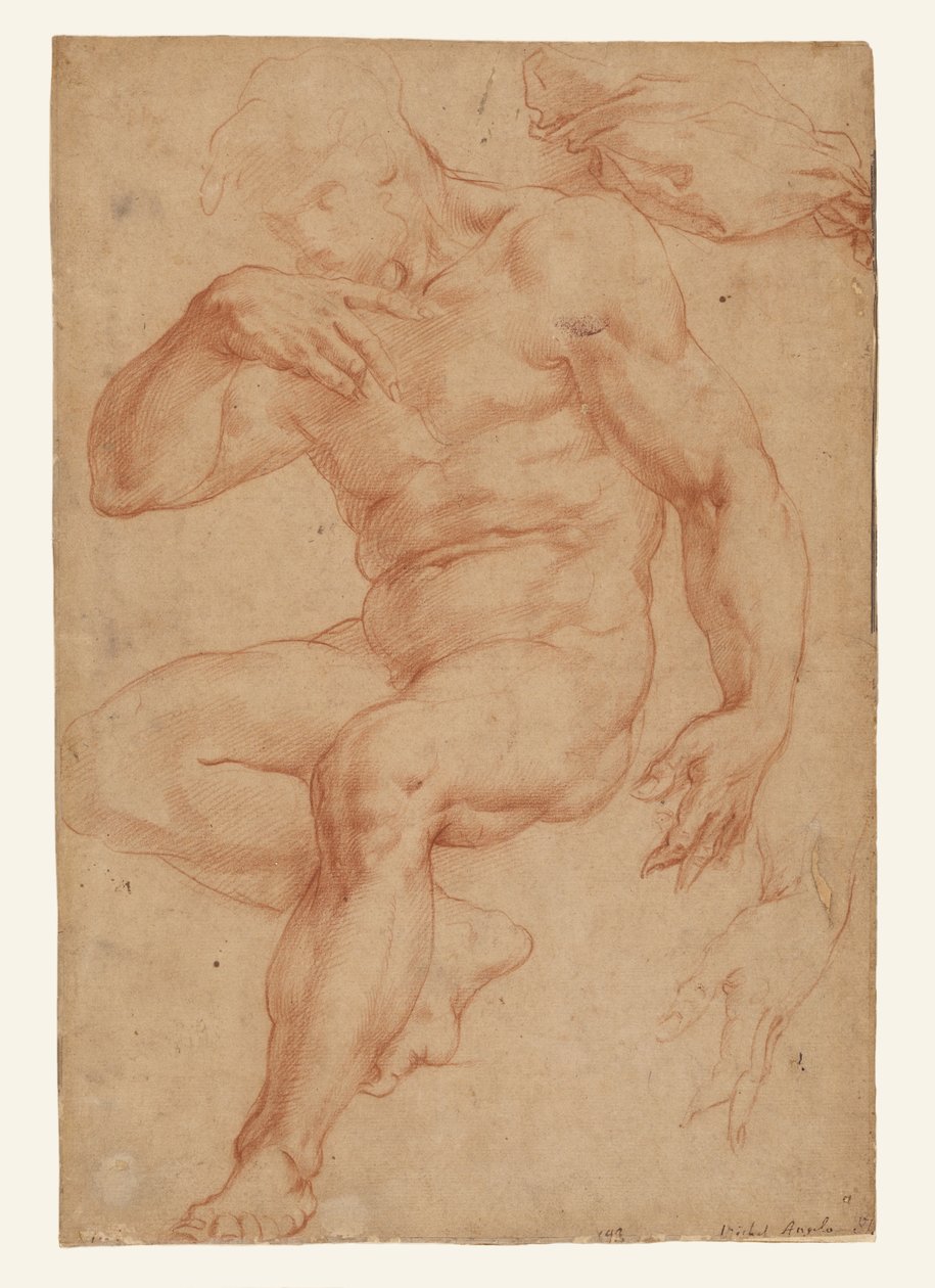 Studien eines männlichen Aktes, eines Gewandes und einer Hand - Giorgio Vasari