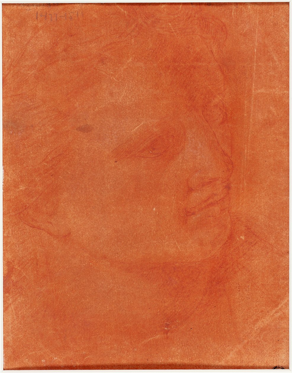 Tête en profil trois-quarts (recto); Jeune homme debout pointant à gauche et croquis de pieds, bras (verso) - Giorgione