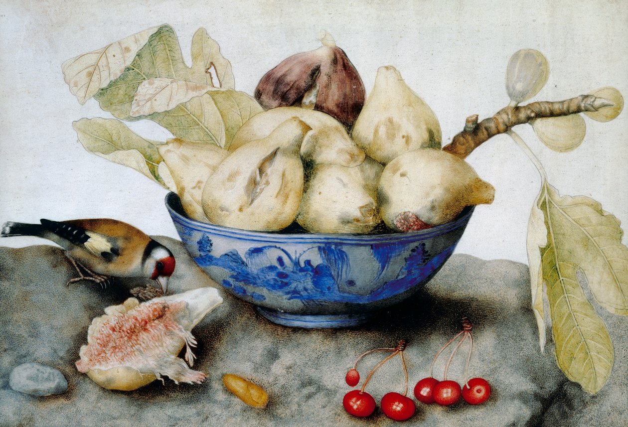 Tasse chinoise avec figues, cerises et chardonneret - Giovanna Garzoni