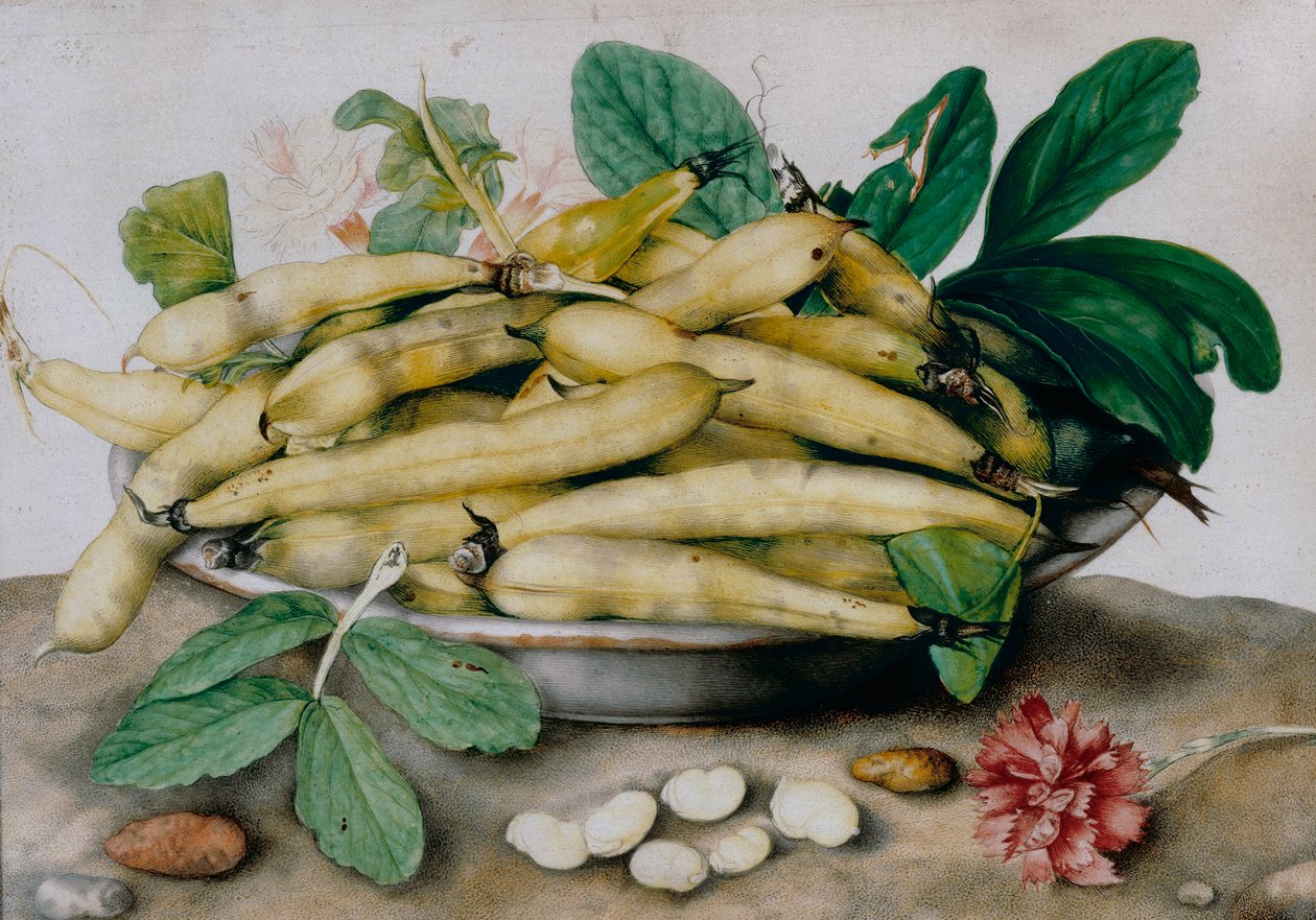 Assiette de fèves - Giovanna Garzoni