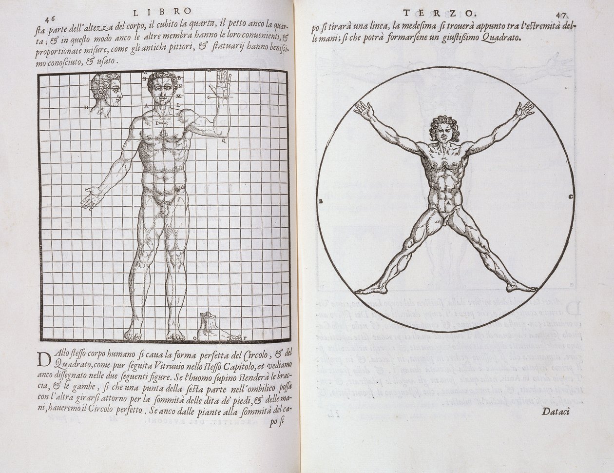 Proportions idéales basées sur le corps humain, de 