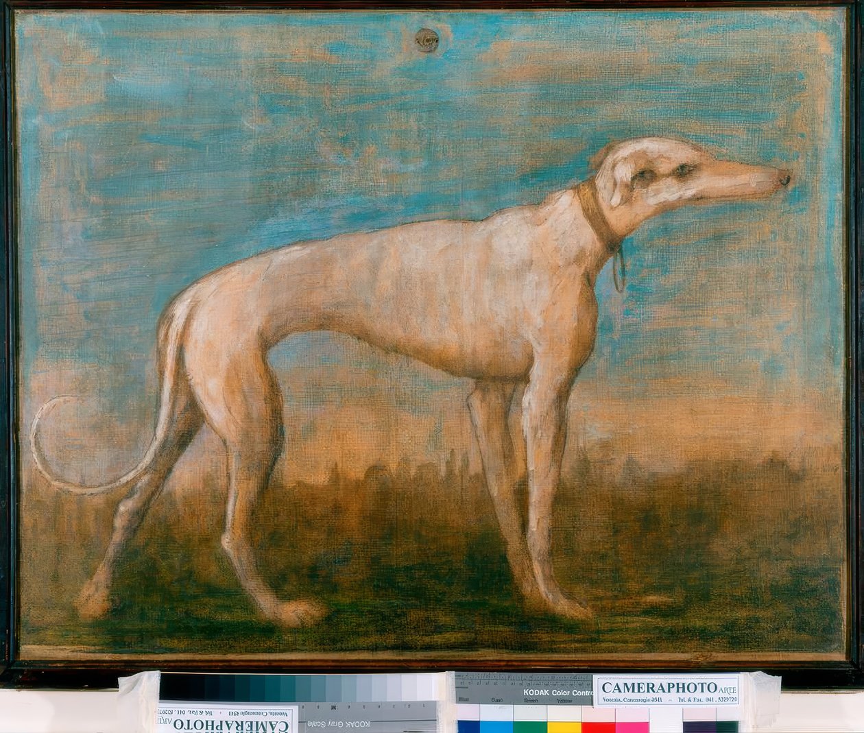 Lévrier - Giovanni Battista Tiepolo