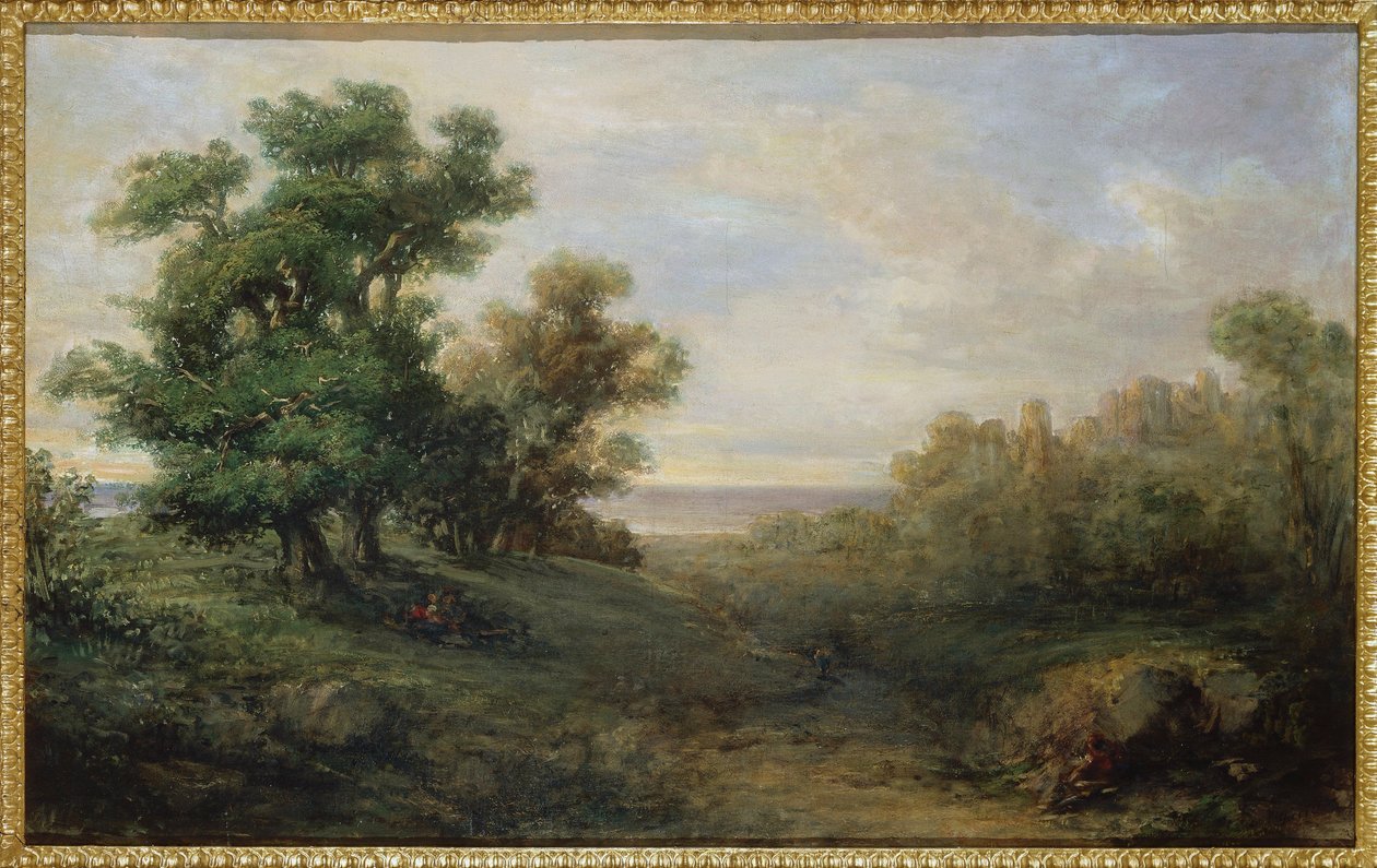 Paysage d