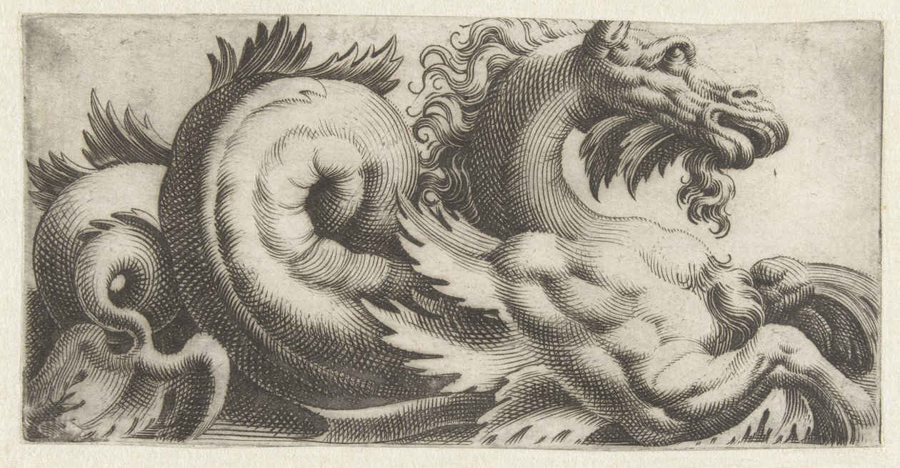 Hippocampe avec nageoires en forme de feuilles et une barbiche (Frises avec monstres marins) - Giovanni Andrea Maglioli